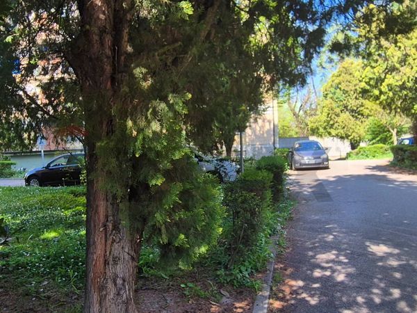 Appartamento Via Pomposa, Ferrara, FE Vendita - Foto 2