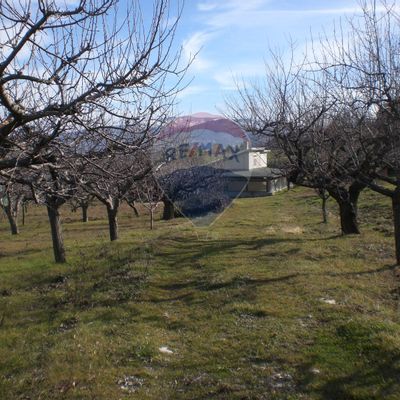 Terreno Gessopalena, CH Vendita - Foto 3