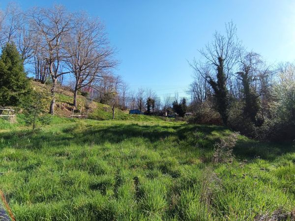 Casa Semindipendente Altare, SV Vendita - Foto 3