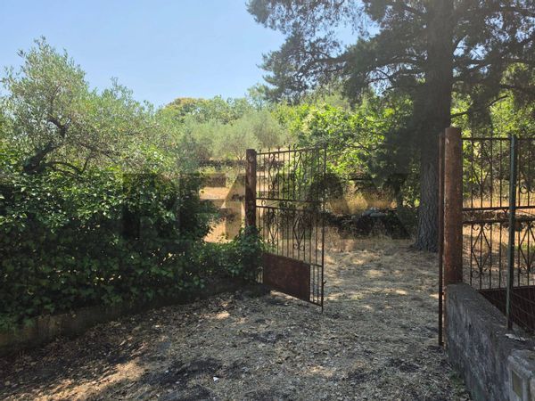 Casa Indipendente Piedimonte Etneo, CT Vendita - Foto 4