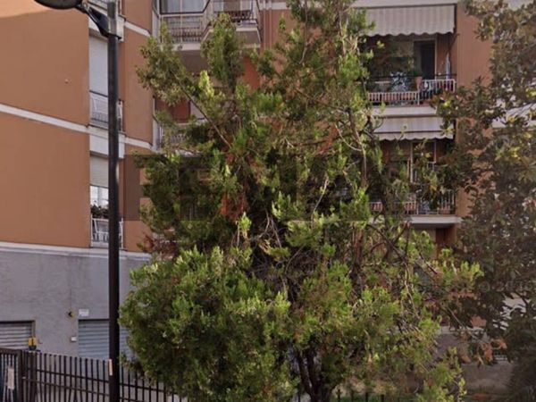 Appartamento Centro, Pescara, PE Vendita - Foto 2