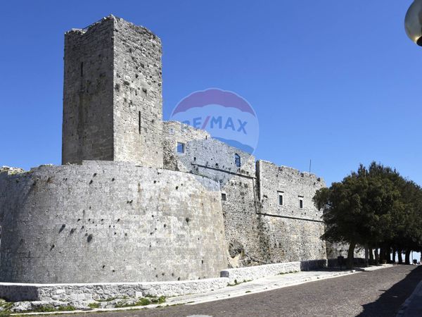 Commerciale Altro Monte Sant'Angelo, FG Vendita - Foto 3