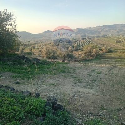 Terreno Paternò, CT Affitto - Foto 4