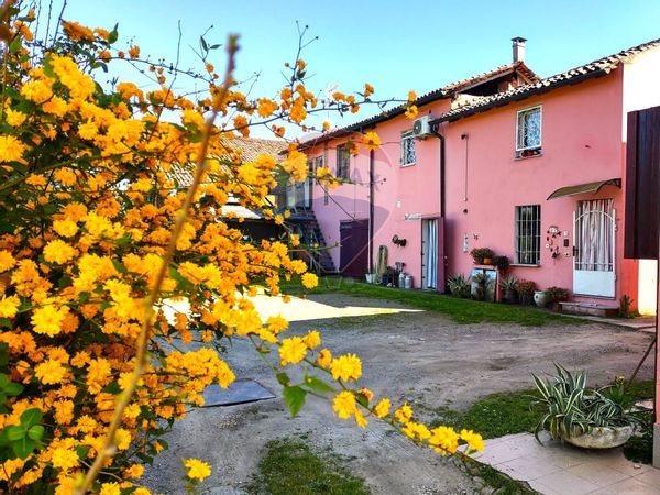 Cascina/Casale San Zenone al Po, PV Vendita - Foto 3
