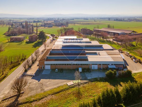 Capannone Industriale Masone, Reggio nell'Emilia, RE Vendita - Foto 3
