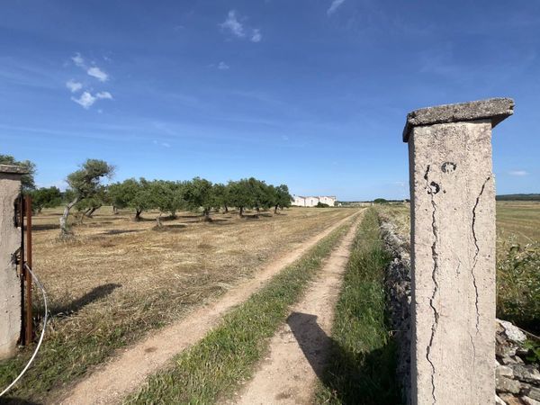 Cascina/Casale Santeramo in Colle, BA Vendita - Foto 3