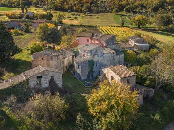 Rustico Domo, Serra San Quirico, AN Vendita - Foto 4