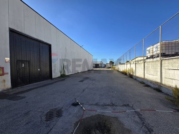 Capannone Industriale Pomezia, RM Affitto - Foto 4