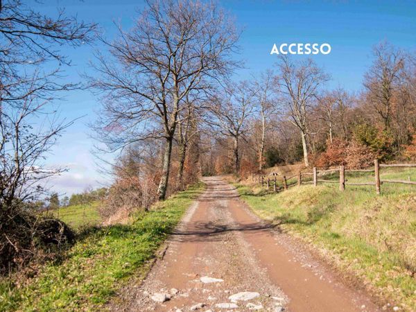 Rustico Roccatederighi, Roccastrada, GR Vendita - Foto 2