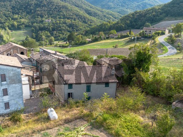 Casa Semindipendente Borla, Vernasca, PC Vendita - Foto 4
