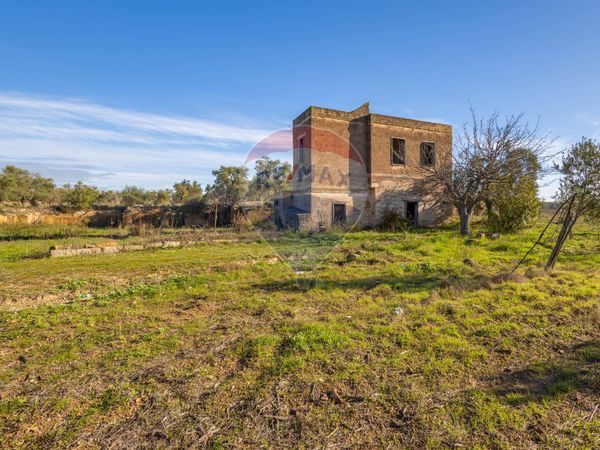 Cascina/Casale Trani, BT Vendita - Foto 2