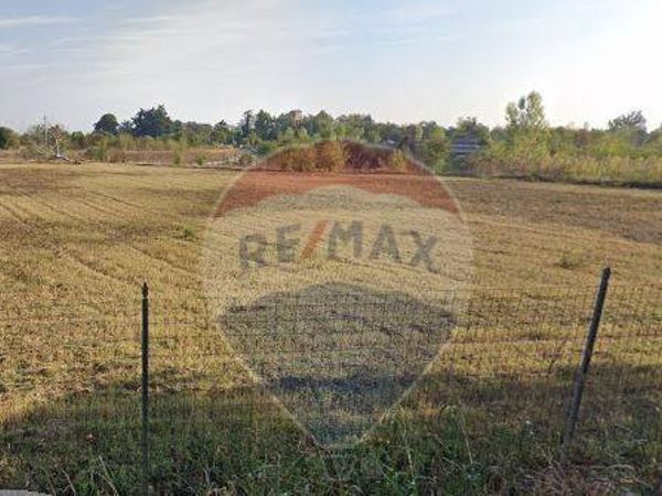 Terreno Industriale Spilamberto, MO Vendita - Foto 2