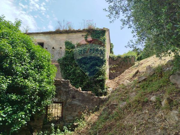 Casa Indipendente Diano Arentino, IM Vendita - Foto 4