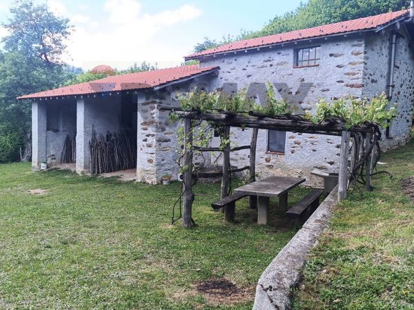 Cascina/Casale Bormida, SV Vendita - Foto 3