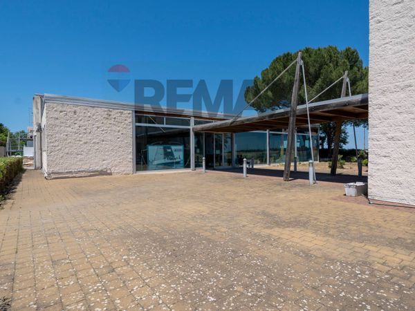 Capannone Industriale Bitonto, BA Vendita - Foto 3