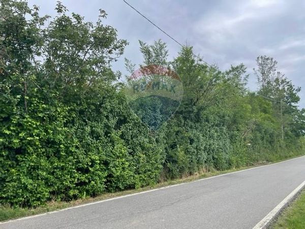 Terreno Abazia, Masio, AL Vendita