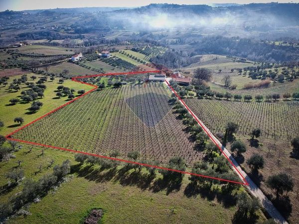 Cascina/Casale Bucchianico, CH Vendita