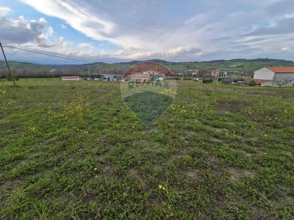 Terreno San Marco Argentano, CS Vendita - Foto 3