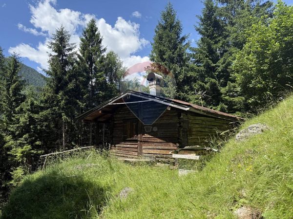 Rustico Rizzios, Calalzo di Cadore, BL Vendita - Foto 2