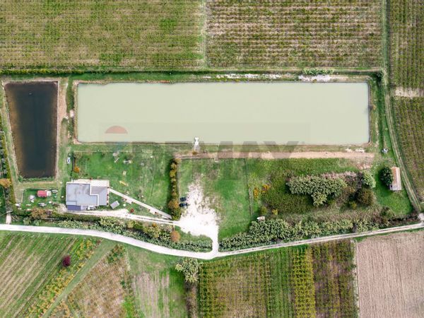 Locale Commerciale Casalbordino Stazione, Casalbordino, CH Vendita - Foto 2