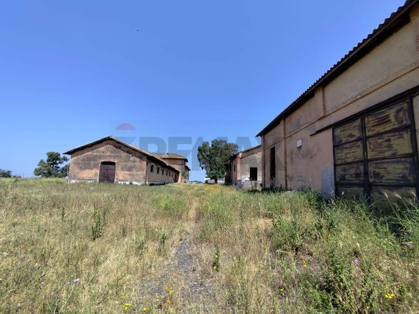 Cascina/Casale S. Palomba, Pomezia, RM Vendita - Foto 3