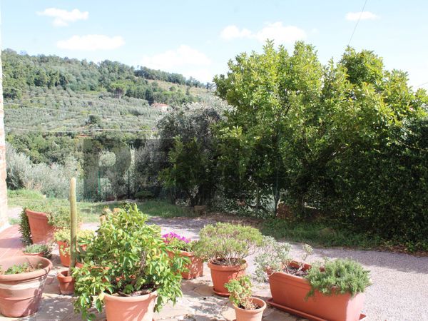 Casa Semindipendente Vitolini, Vinci, FI Vendita - Foto 2