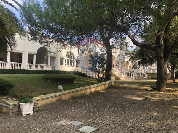 Ristorante Cassano delle Murge, BA Vendita - Foto 2