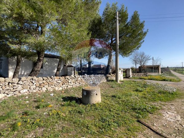 Cascina/Casale Santeramo in Colle, BA Vendita - Foto 2