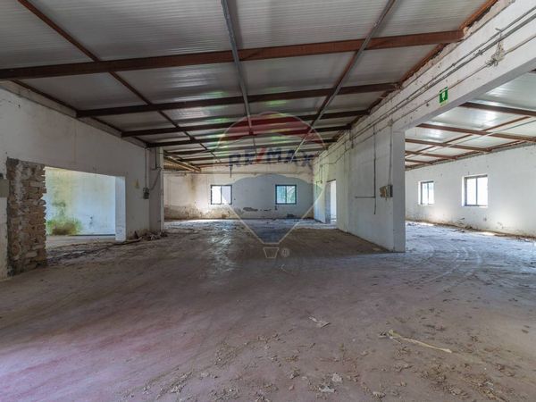 Capannone Industriale Castel Sant'Elia, VT Vendita - Foto 2