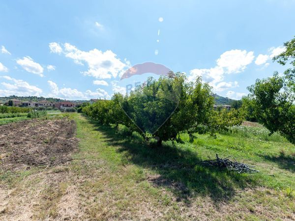 Cascina/Casale Pianello Vallesina, Monte Roberto, AN Vendita - Foto 4