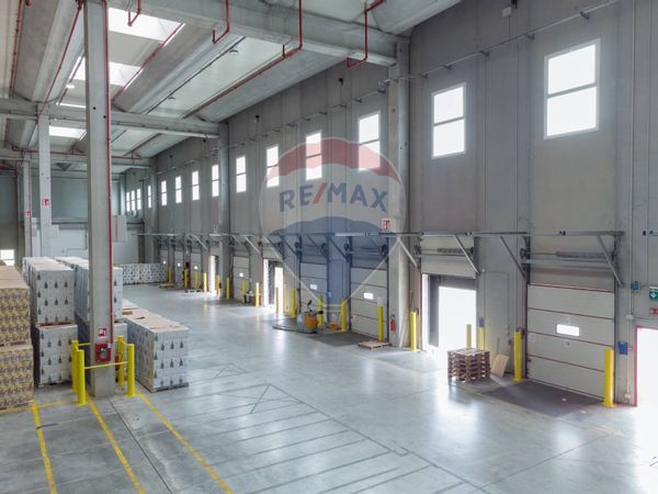 Capannone Industriale San Giuliano Milanese, MI Affitto