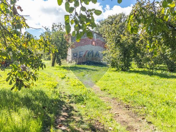 Cascina/Casale Vetralla, VT Vendita - Foto 3