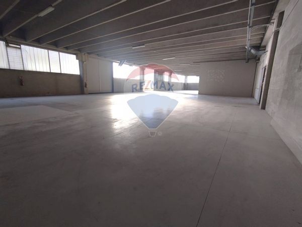 Capannone Industriale Liscate, MI Affitto - Foto 2