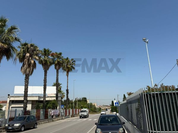 Capannone Industriale Carbonara - Ceglie, Bari, BA Affitto - Foto 2