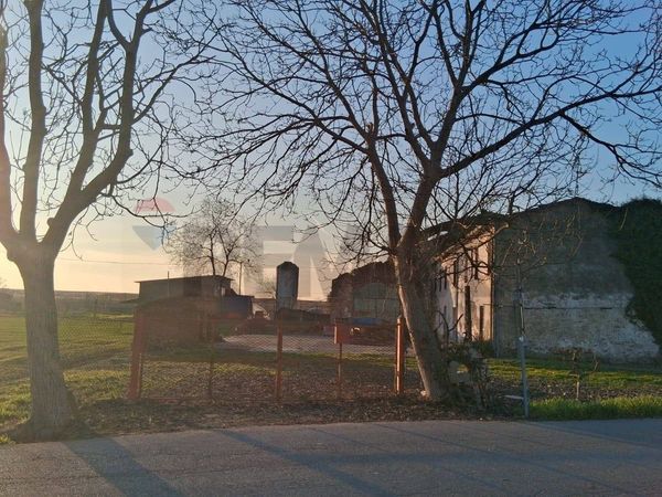 Rustico Pellegrina, Isola della Scala, VR Vendita - Foto 2