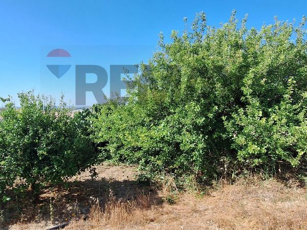 Cascina/Casale Noto, SR Vendita - Foto 3