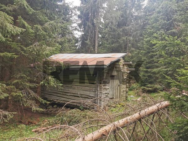Baita/Chalet/Trullo Lozzo di Cadore, BL Vendita - Foto 2
