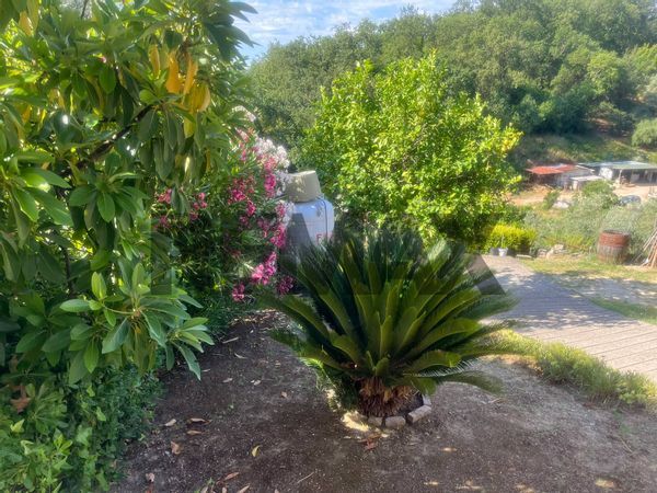 Casa Indipendente Tremensuoli, Minturno, LT Affitto