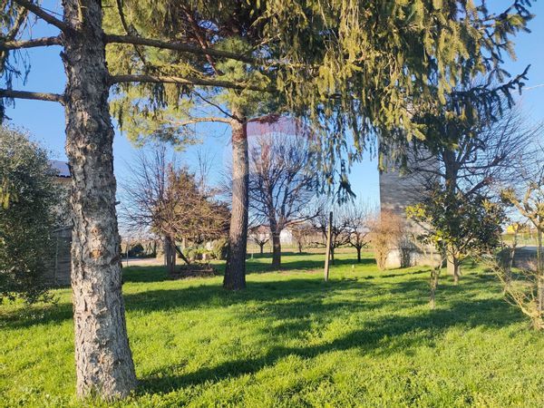 Porzione di casa Voghenza, Voghiera, FE Vendita - Foto 4