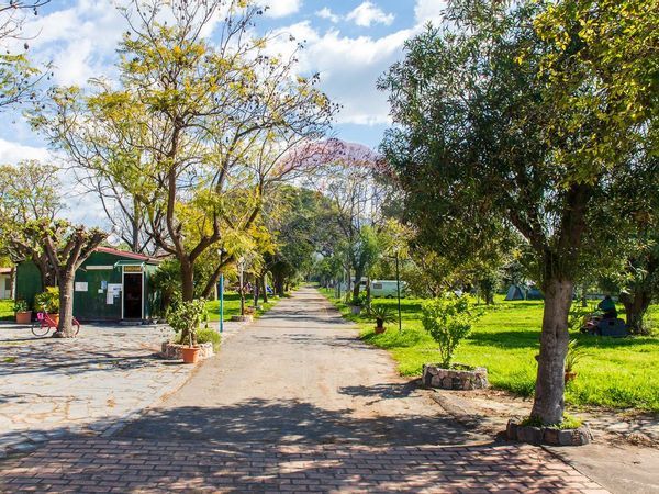 Camping Area San Marco, Calatabiano, CT Vendita - Foto 3