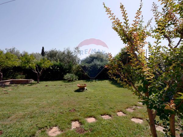 Villa o villino Bitonto, BA Vendita - Foto 3