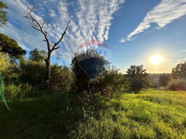 Terreno Anagnina, Roma, RM Vendita - Foto 3