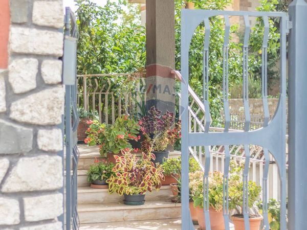 Appartamento Canino, VT Vendita - Foto 3