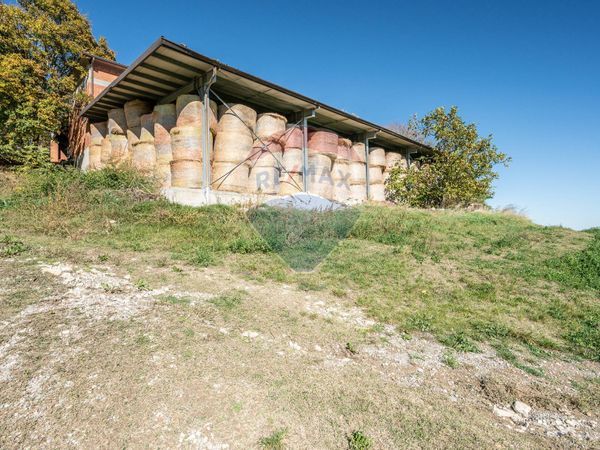 Azienda Agricola Mozzano, Neviano degli Arduini, PR Vendita