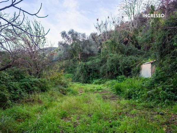 Rustico Scarlino, GR Vendita - Foto 3