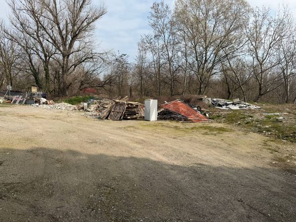 Capannone Industriale Alberi, Parma, PR Affitto - Foto 4