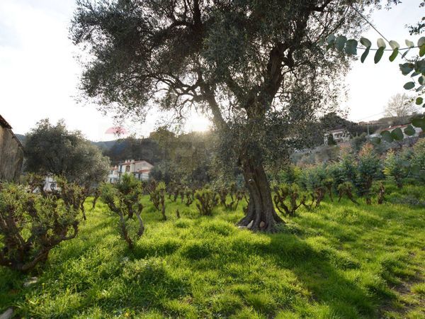 Rustico Magliolo, SV Vendita - Foto 3