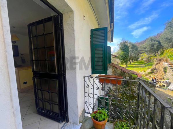 Casa Indipendente Provvedasco, Calice al Cornoviglio, SP Vendita - Foto 3