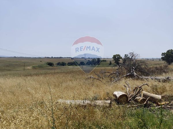 Terreno S. Palomba, Pomezia, RM Vendita - Foto 4