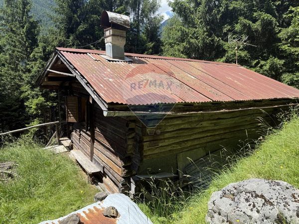 Rustico Rizzios, Calalzo di Cadore, BL Vendita - Foto 3